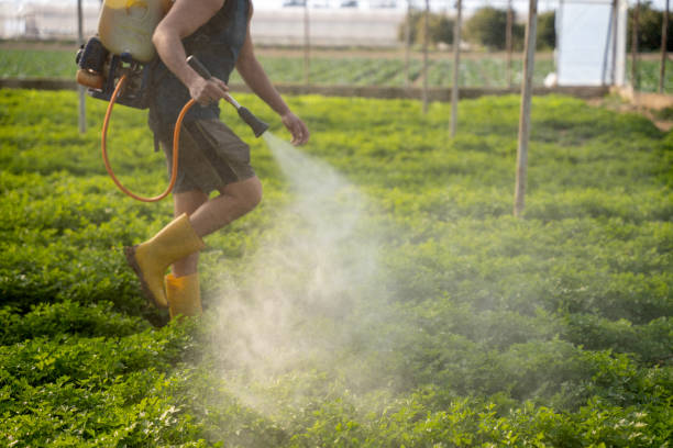 Best Wasp Removal Services  in Wanamassa, NJ