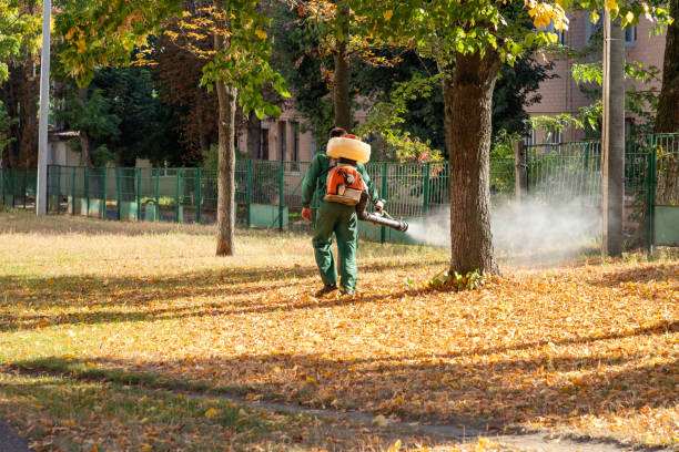 Best Bird Control  in Wanamassa, NJ