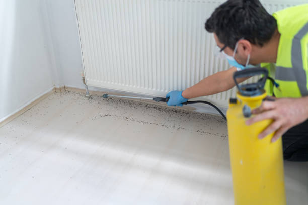 Best Termite Control Services  in Wanamassa, NJ