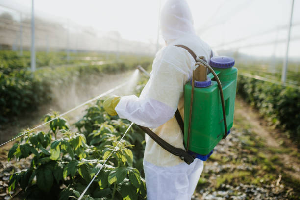 Best Pest Control for Restaurants  in Wanamassa, NJ
